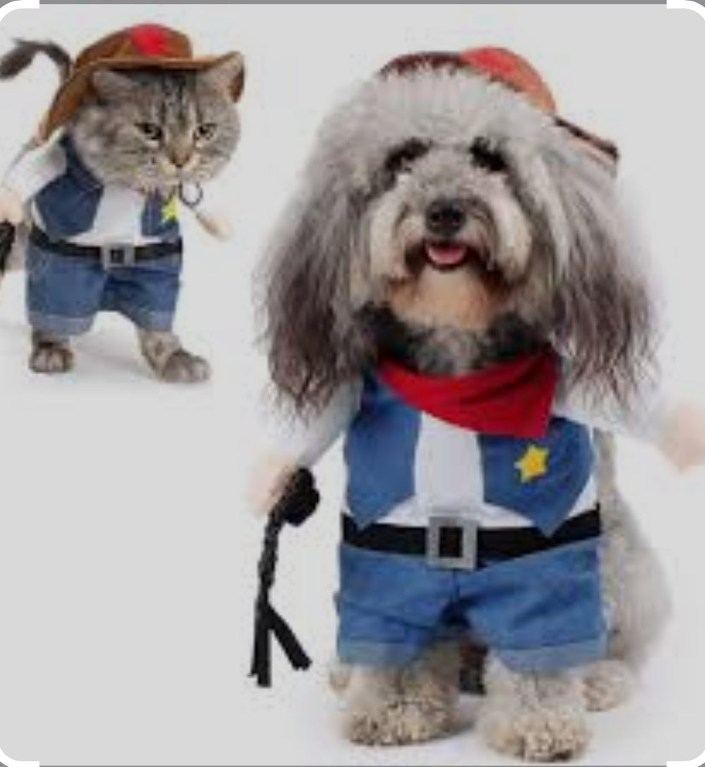 Pet cowboy costume