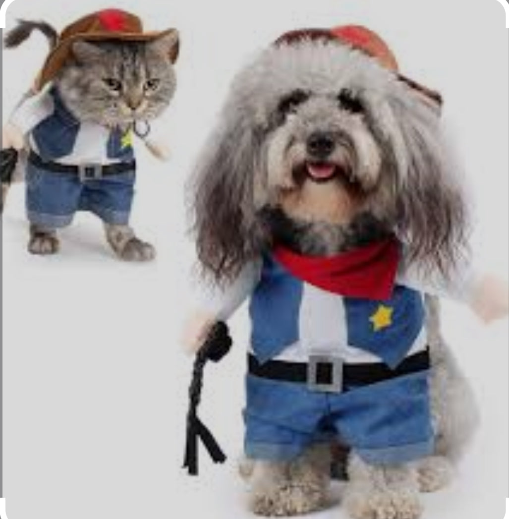 Pet cowboy costume