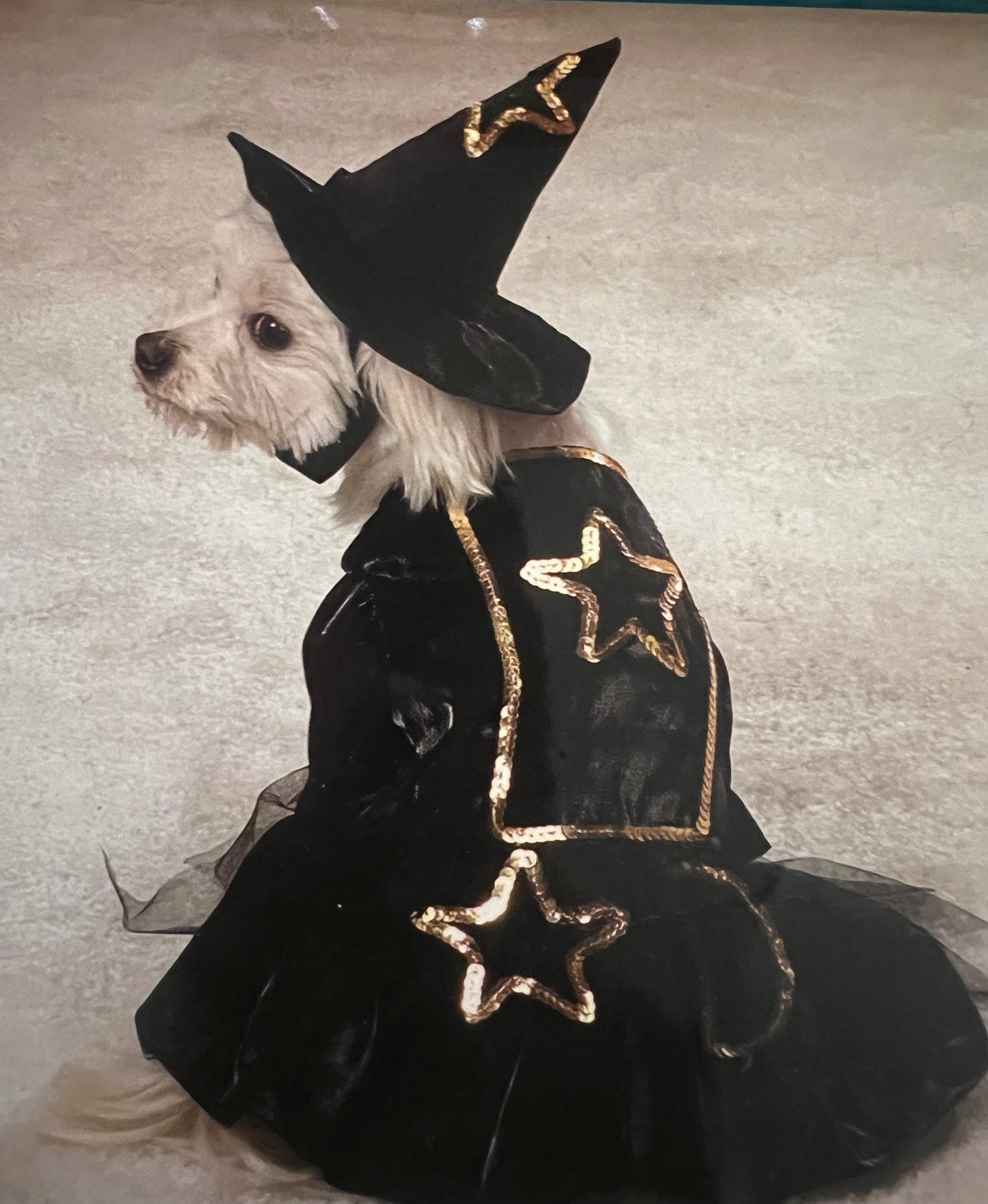 Pet witch Dress