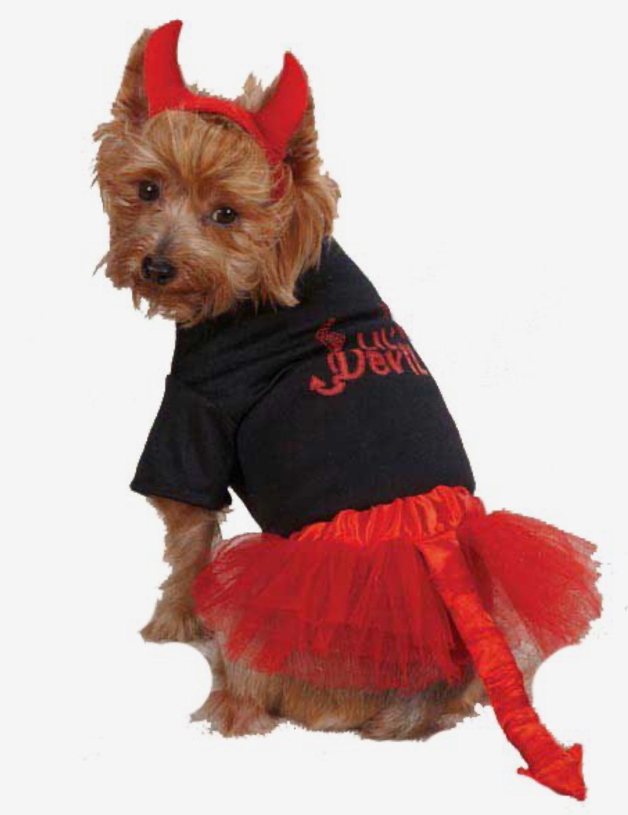 Pet tutu little devil