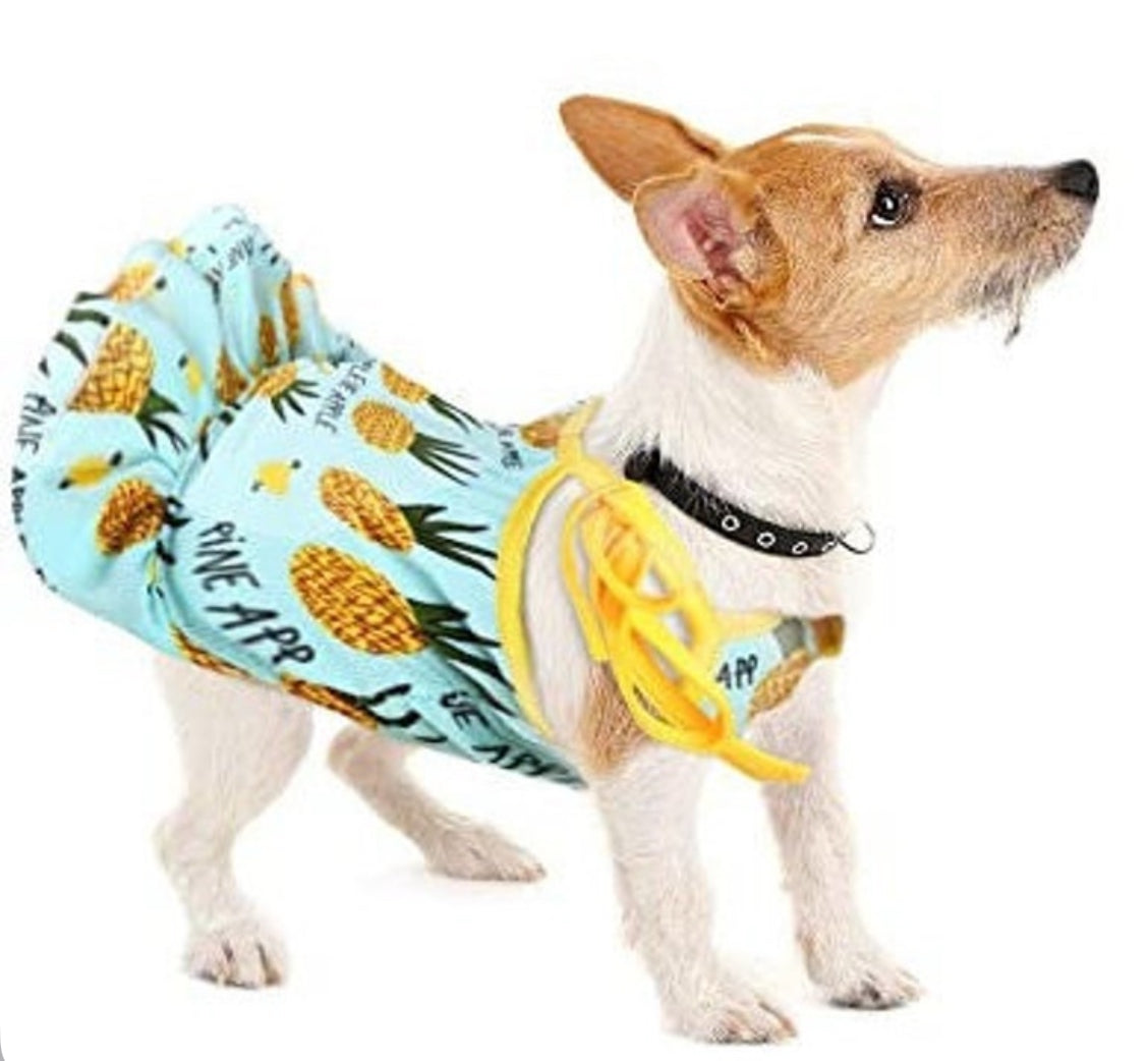 Pineapple Dress