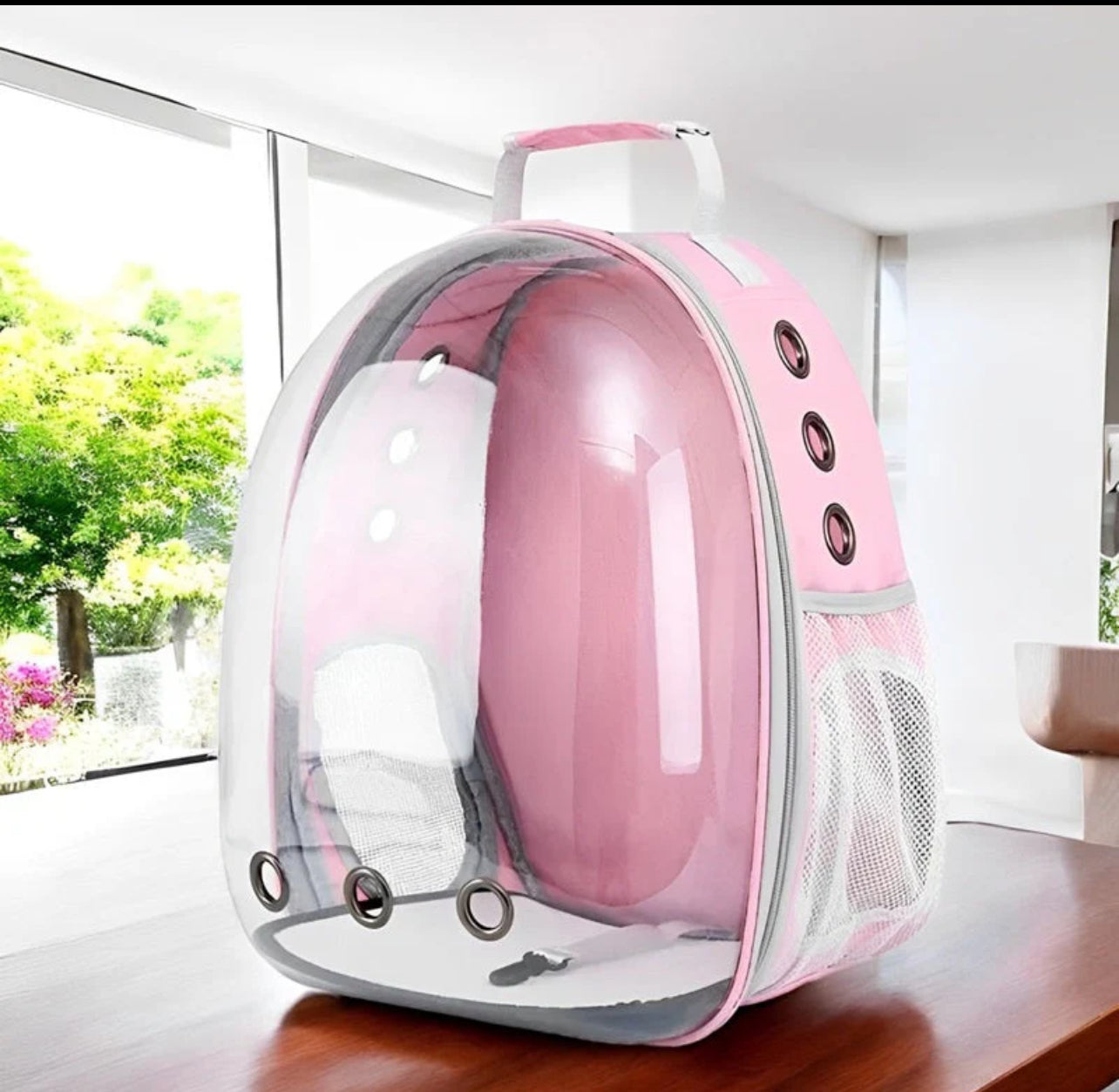 Pet carrier Bubble backpack