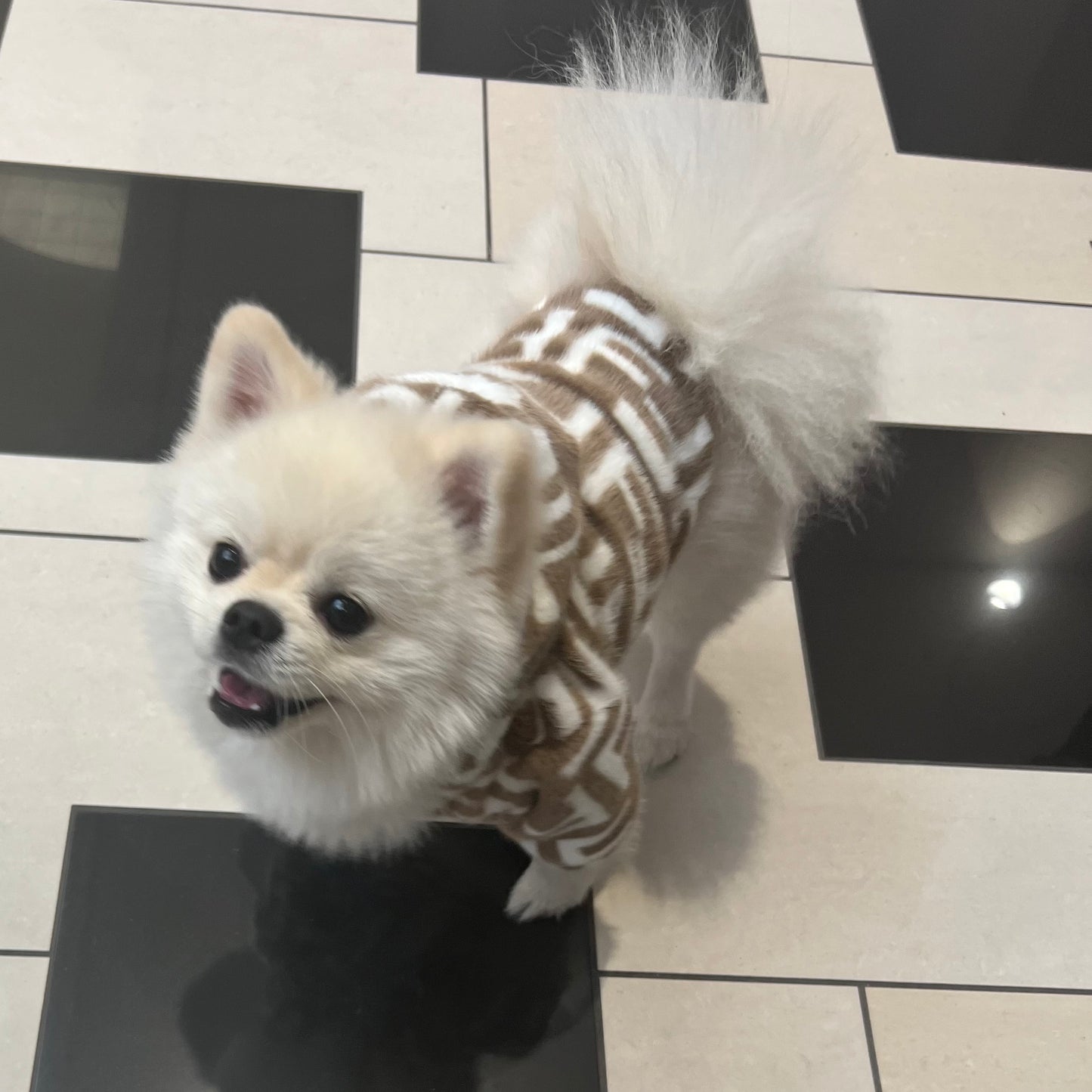 Fendi jacket