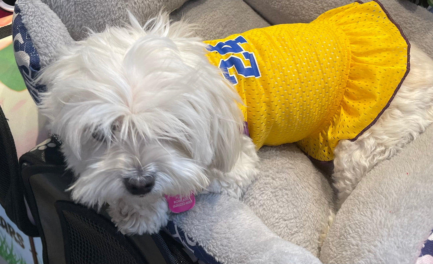 Laker Tutu dress pet