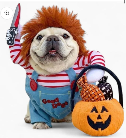 Chucky costume
