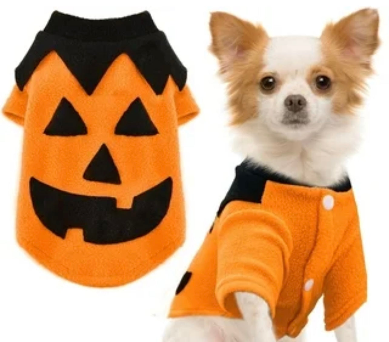 Pumpkin pet costume