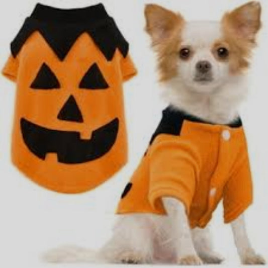 Pumpkin pet costume