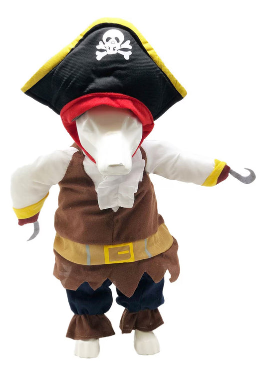 Pirate costume