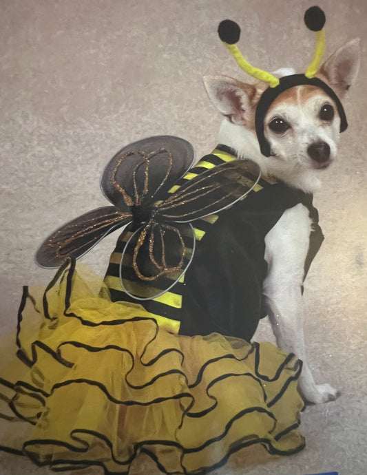 Pet Bee costume