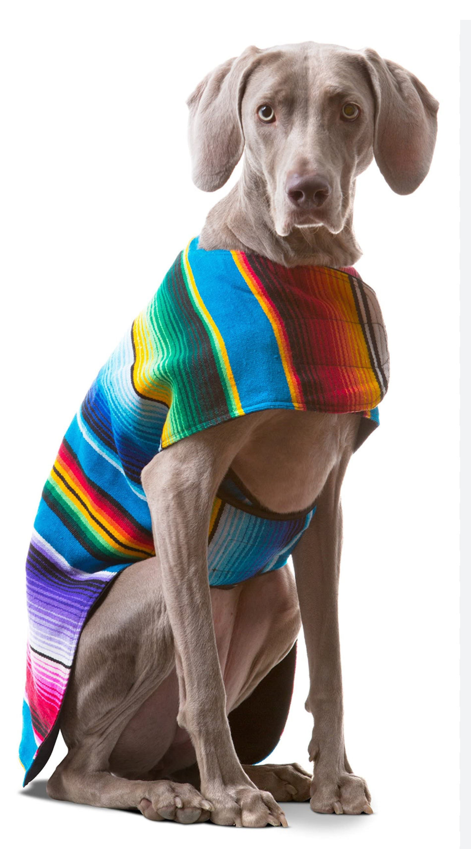 Poncho vest for pets