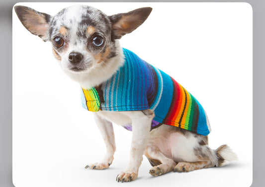 Poncho vest for pets