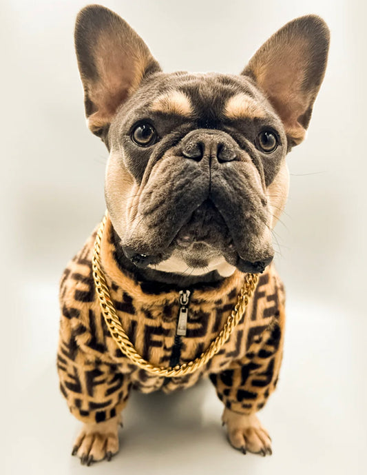 FUR FENDI JACKET PET