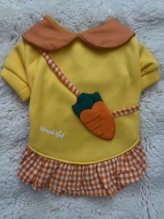 Pet Dress Spring fashion