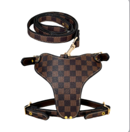 Harness and Leash 2pc