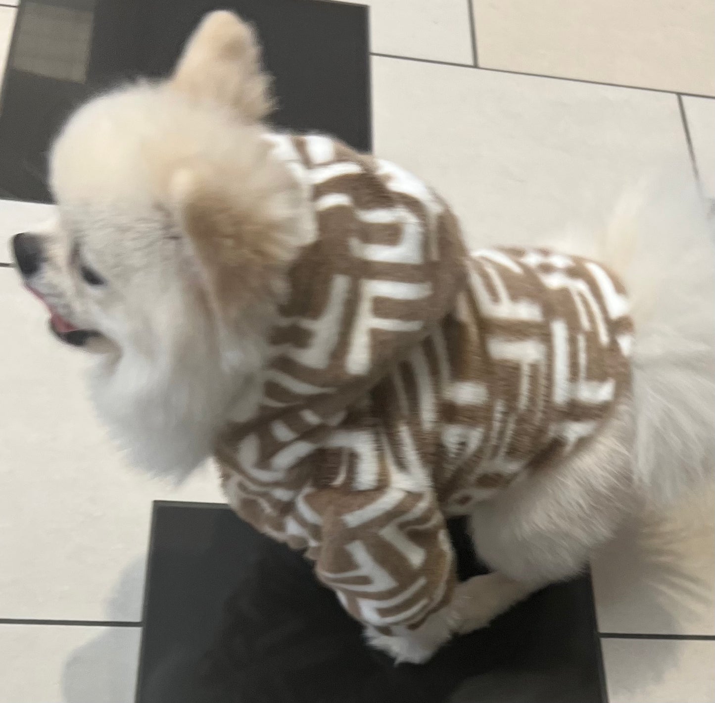 Fendi jacket