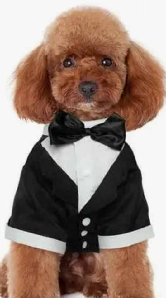 PET TUXEDO