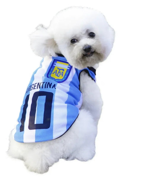 Short sleeve jersey pet