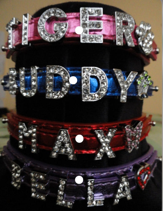 Bling custom collar for pets.